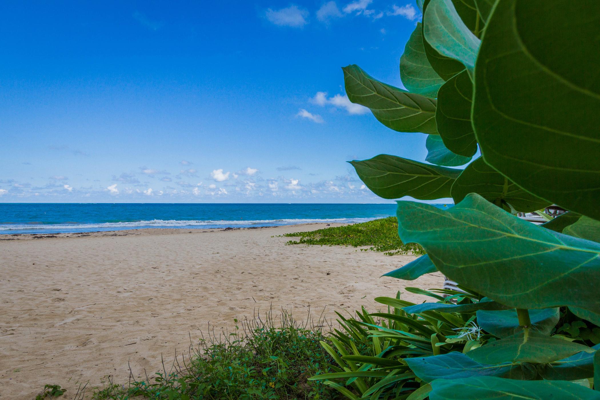 Tryp By Wyndham Isla Verde San Juan Dış mekan fotoğraf
